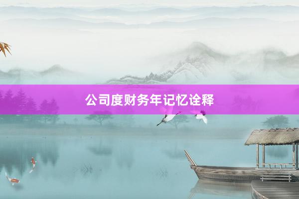 公司度财务年记忆诠释